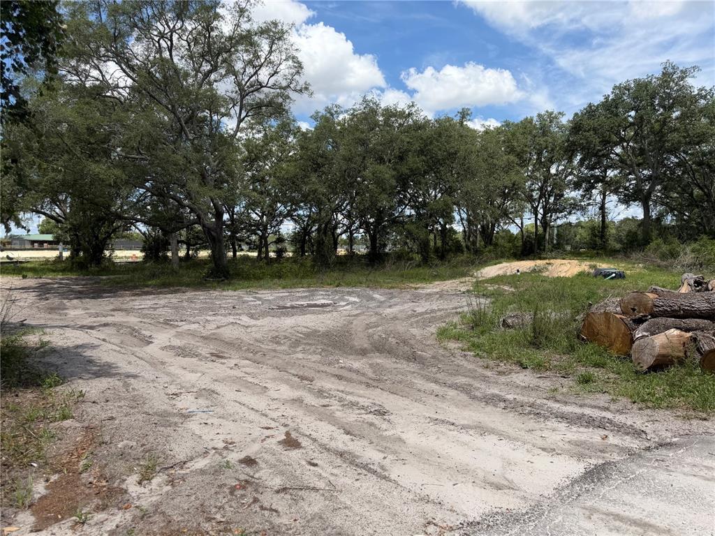 A vacant, sandy lot features a pile of cut logs and mature trees in the background — 3310 TREIMAN BOULEVARD, DADE CITY, FL