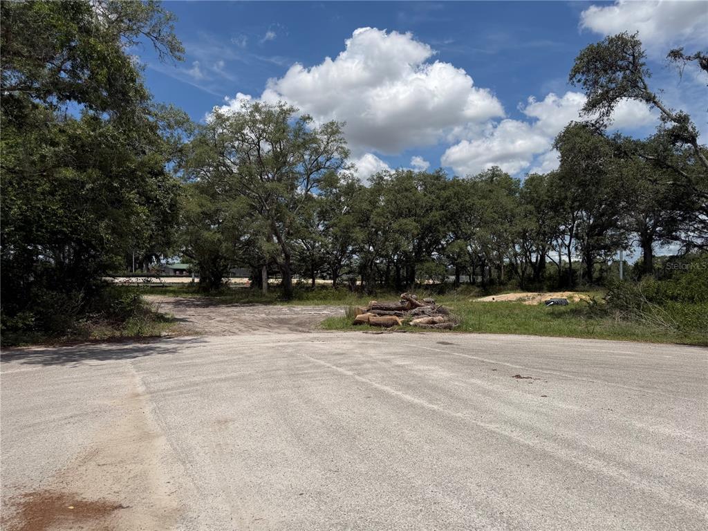 An unpaved driveway leads to a wooded lot with a pile of logs — 3310 TREIMAN BOULEVARD, DADE CITY, FL