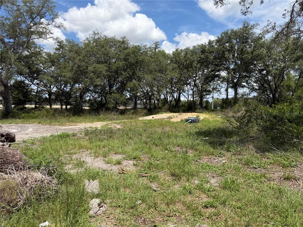 A grassy, partially cleared lot features a small mound of dirt and scattered trees — 3310 TREIMAN BOULEVARD, DADE CITY, FL