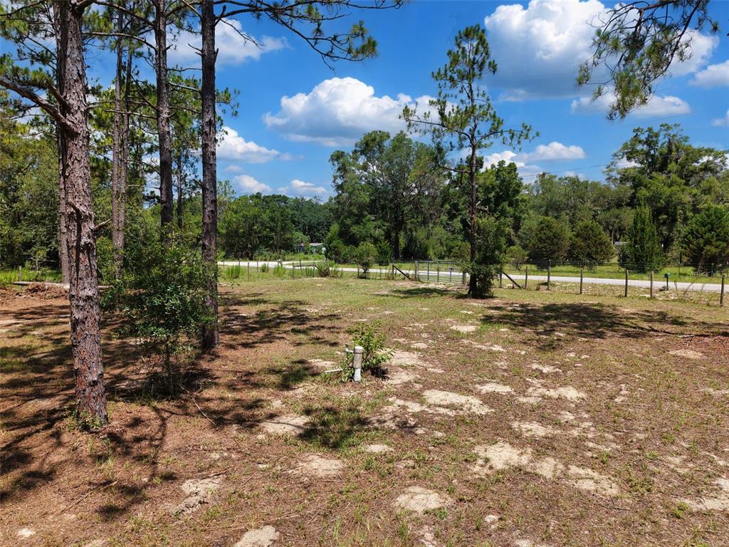 A grassy, partially wooded lot features a well pipe and a wire fence — 54 NE 841ST AVENUE, OLD TOWN, FL