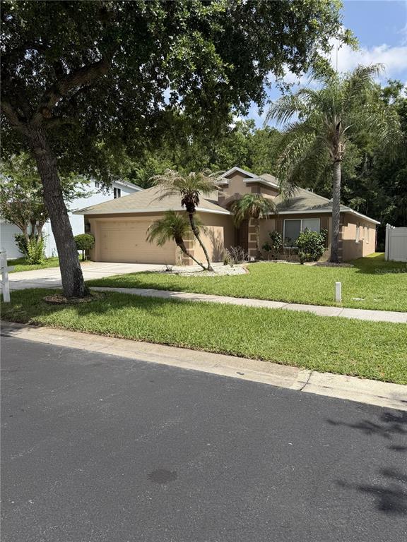 A single-story house with a tan stucco exterior, a two-car garage, and a palm tree — 4751 BARCHETTA, LAND O LAKES, FL