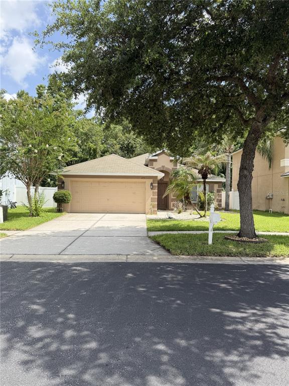 A single-story house with a tan stucco exterior, a two-car garage, and a large tree — 4751 BARCHETTA, LAND O LAKES, FL