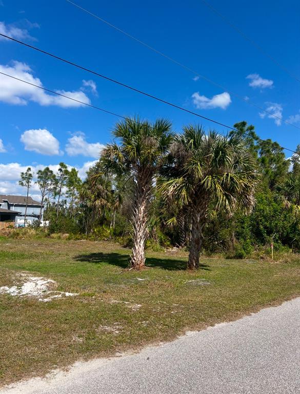 Two palm trees stand on a grassy vacant lot next to a paved road — 13220 FELDSPAR AVENUE, PORT CHARLOTTE, FL