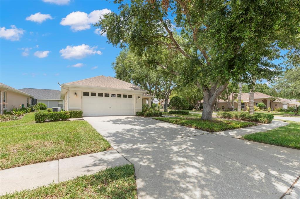A single-story house with a white garage door and a concrete driveway under large trees — 14023 SHOAL DRIVE, HUDSON, FL