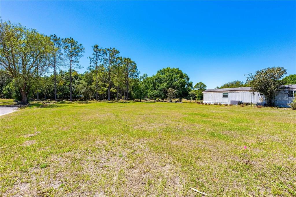 CHRIS DR., WESLEY CHAPEL, FL — photo 2 of 16