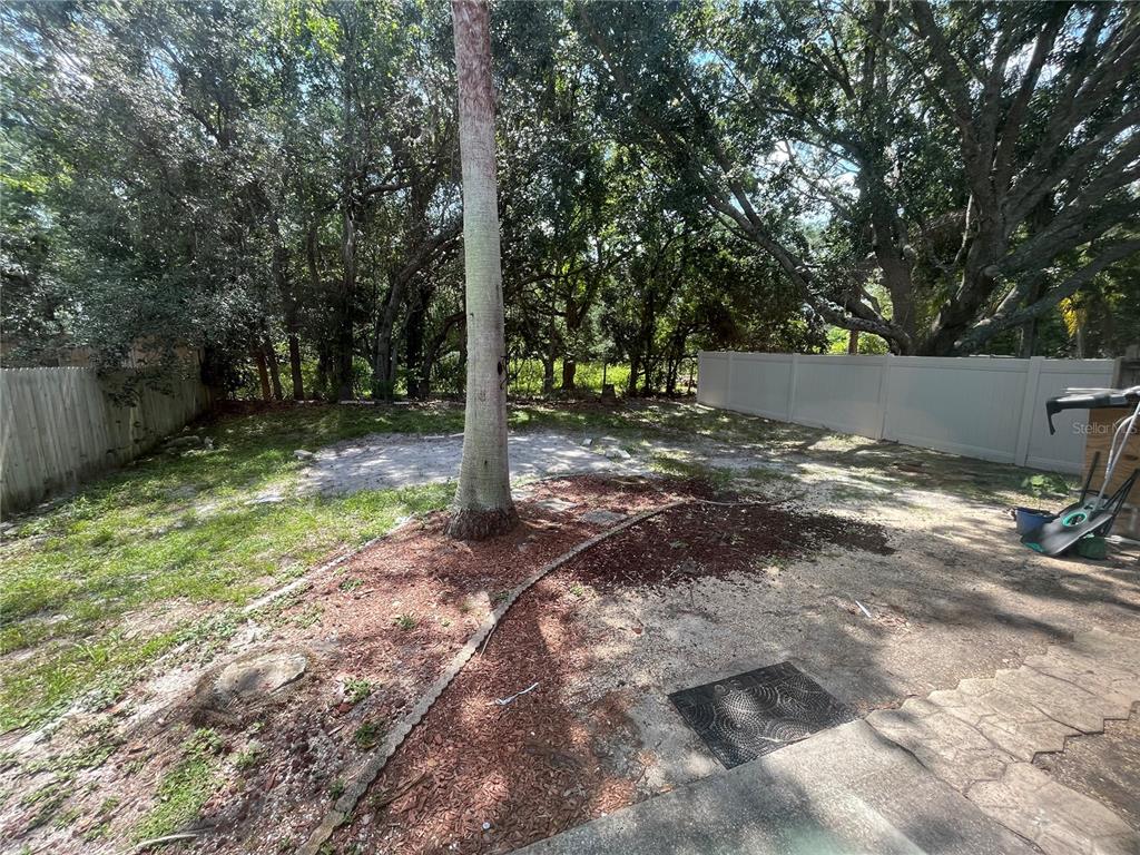 A backyard features a central palm tree, mulch beds, and a white vinyl privacy fence — 10565 ROCKING A RUN, ORLANDO, FL
