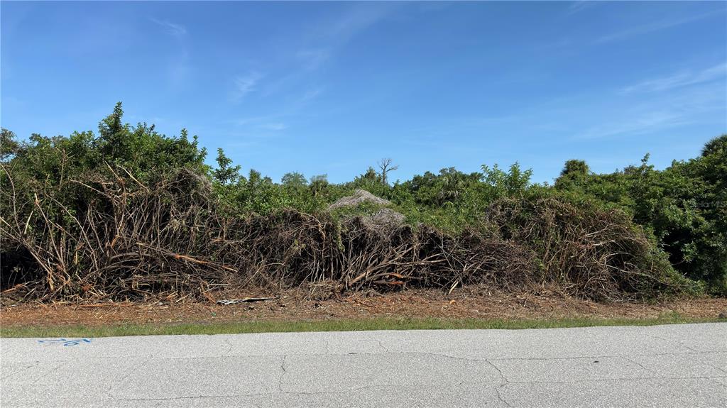 A vacant, overgrown lot with dense brush and trees sits behind a paved road — 7432 MEMORIAL DRIVE, PORT CHARLOTTE, FL