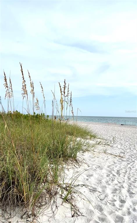 Tall sea oats grow in the sand along a beach with the ocean in view — 8218 DIMSTEAD STREET, PORT CHARLOTTE, FL