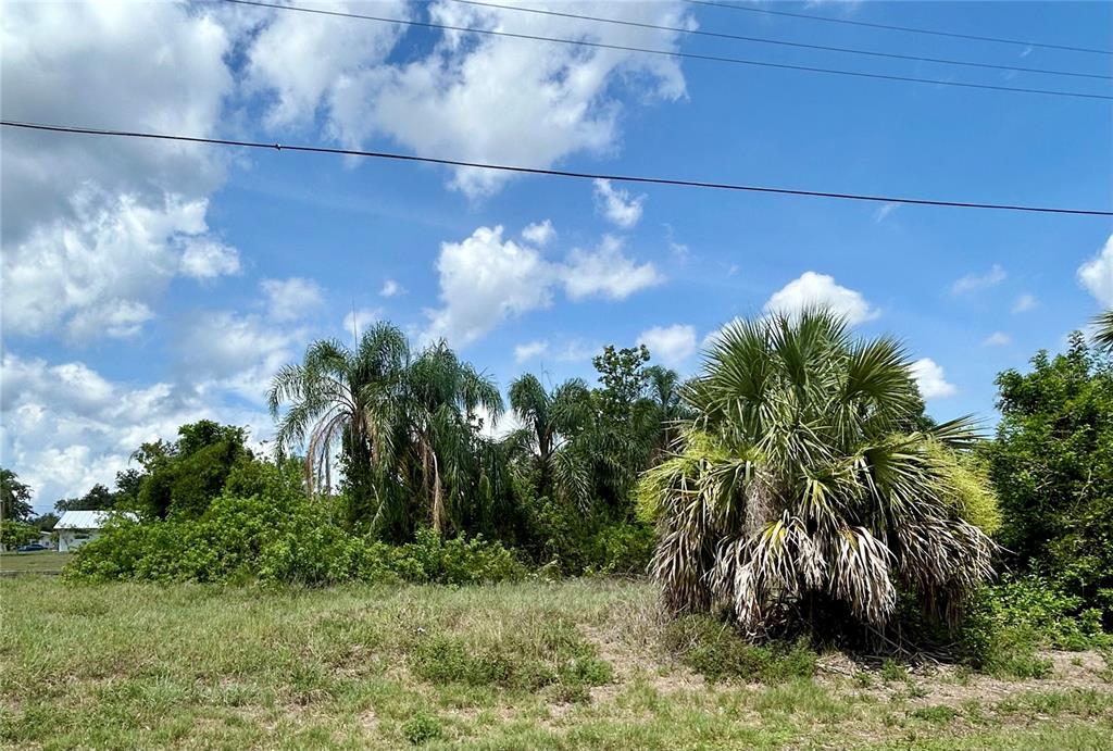 A grassy lot features a large palm tree and dense vegetation under a blue sky — 3273 SANTA BARBARA DRIVE, PUNTA GORDA, FL