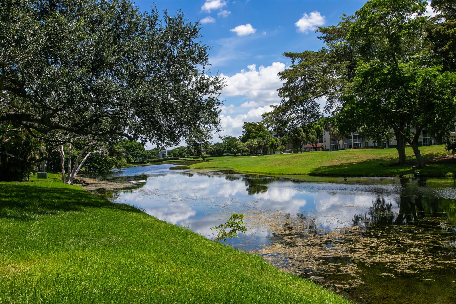 9441 Live Oak Place # 106, Davie FL 33324