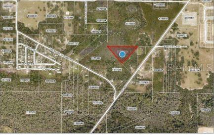 An aerial map view showing a highlighted triangular plot of land surrounded by wooded areas — COUNTY ROAD 44, LEESBURG, FL