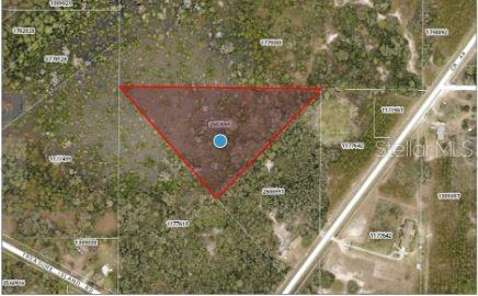This is an aerial map view showing a triangular parcel of land outlined in red — COUNTY ROAD 44, LEESBURG, FL