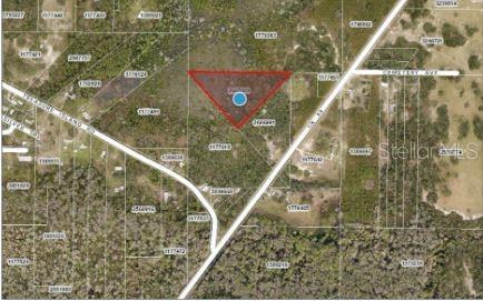 An aerial map view shows a triangular parcel of land highlighted in red — COUNTY ROAD 44, LEESBURG, FL