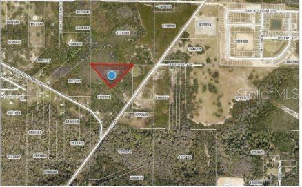 This is an aerial map showing a triangular parcel of land highlighted in red — COUNTY ROAD 44, LEESBURG, FL