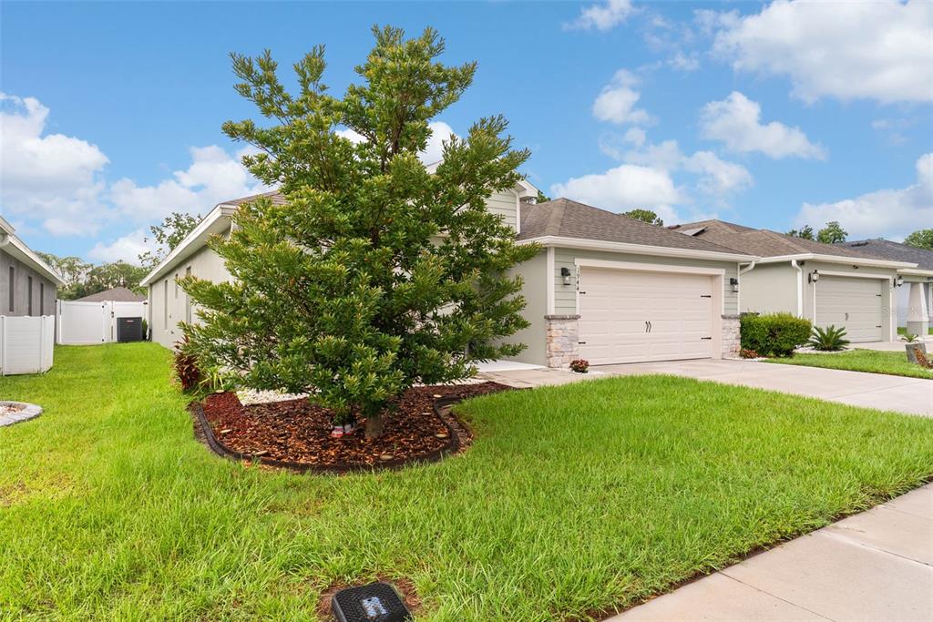A single-story house with a two-car garage, stone accents, and a large tree in front — 1944 HARVEST LANDING CIRCLE, LAKELAND, FL