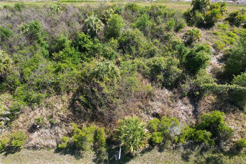 An aerial view shows a dense, overgrown lot with scattered palm trees and native shrubs — 13 MAGELLAN STREET, NORTH PORT, FL