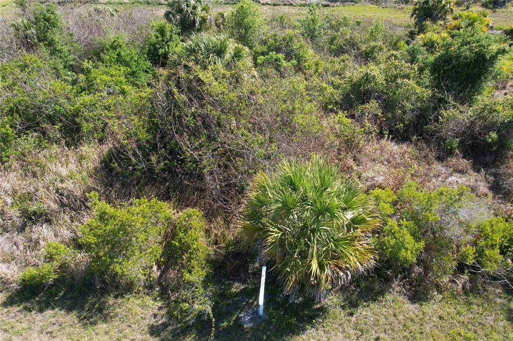 An aerial view of a dense, overgrown lot featuring native Florida vegetation and palm trees — 13 MAGELLAN STREET, NORTH PORT, FL