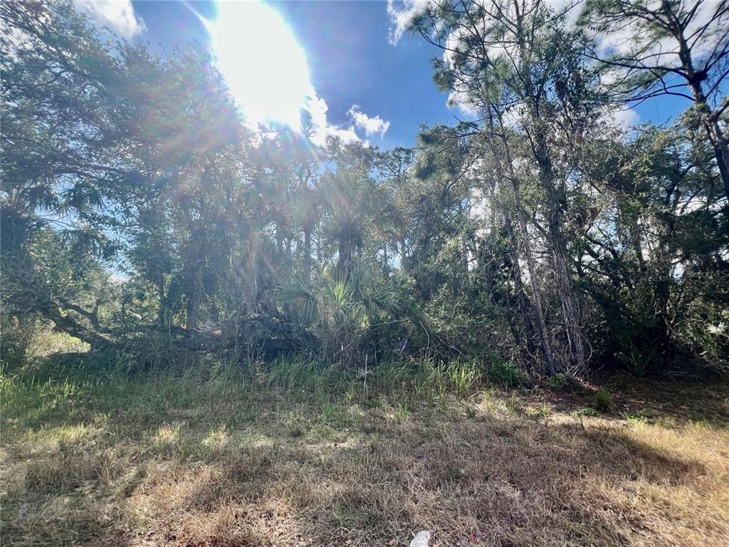 Lot 7 ABBEVILLE ROAD