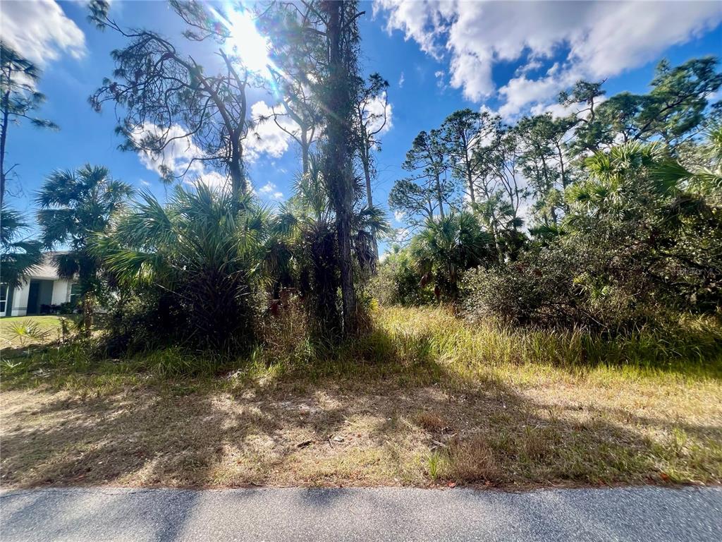 A vacant, wooded residential lot with tall grass and palm trees under a sunny sky — Lot 7 ABBEVILLE ROAD, NORTH PORT, FL
