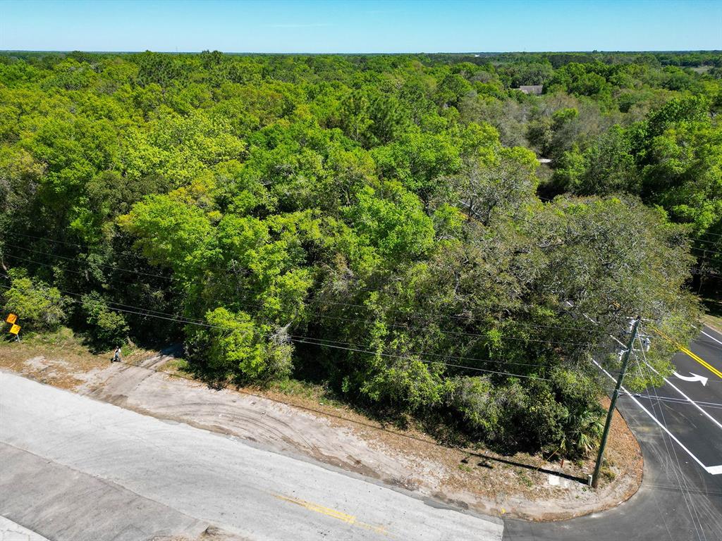 An aerial view shows a wooded lot bordered by a road and a commercial intersection — NILES STREET, MOUNT PLYMOUTH, FL