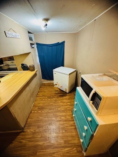 A small kitchen area features wood-look flooring, a chest freezer, and a microwave on a dresser — 11417 SW 42ND TERRACE, WEBSTER, FL