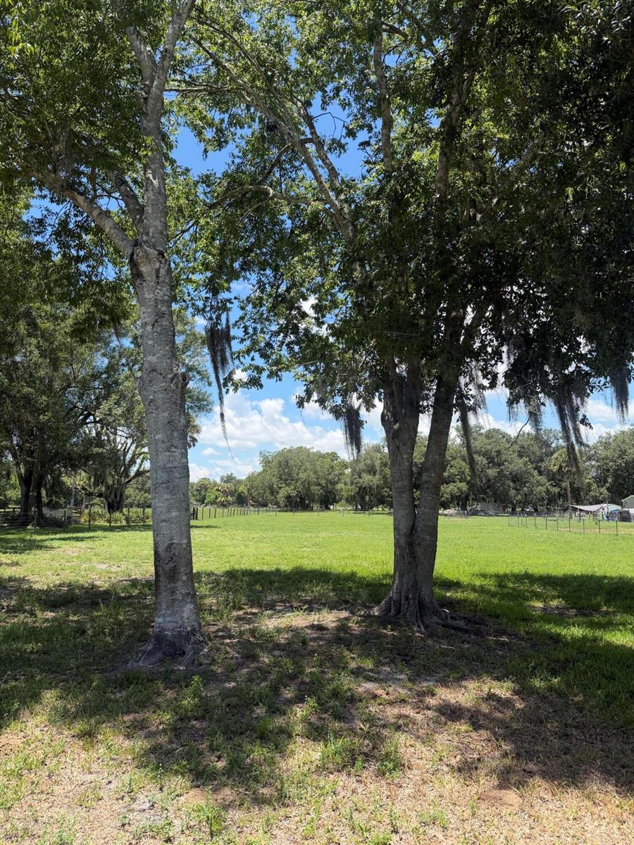 Two large trees stand in the foreground of a grassy, fenced pasture under a blue sky — 0 NE 28th Avenue, Okeechobee FL 34972, OKEECHOBEE, FL