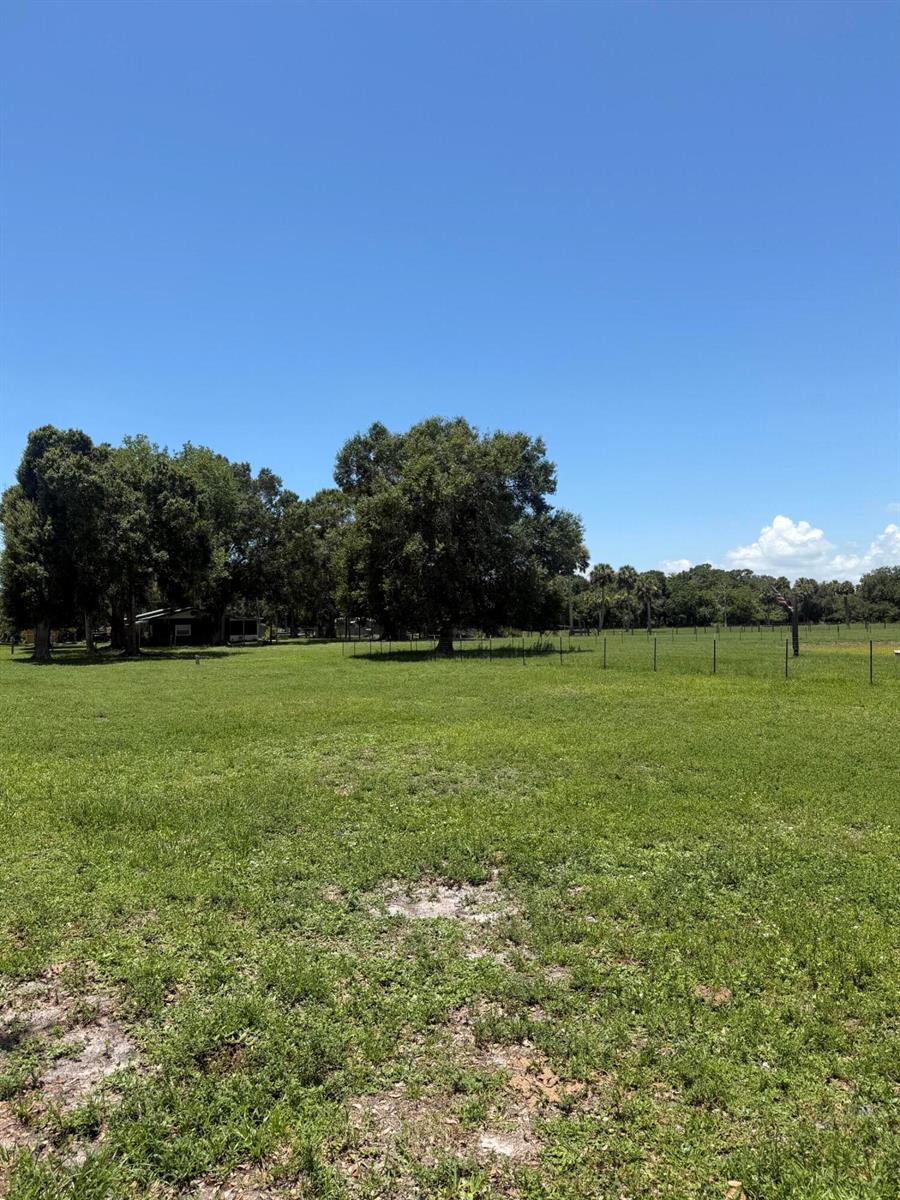 A large, grassy field features several mature trees and a wire fence under a clear sky — 0 NE 28th Avenue, Okeechobee FL 34972, OKEECHOBEE, FL