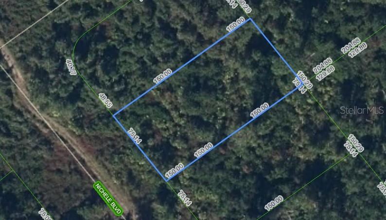 455 NICHELE BOULEVARD