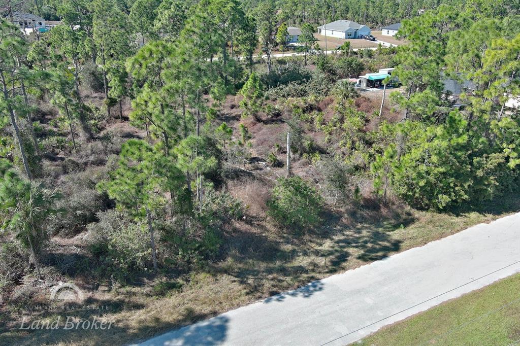 An aerial view shows a vacant, wooded residential lot adjacent to a paved road — 1053 FAYETTE AVENUE, LEHIGH ACRES, FL