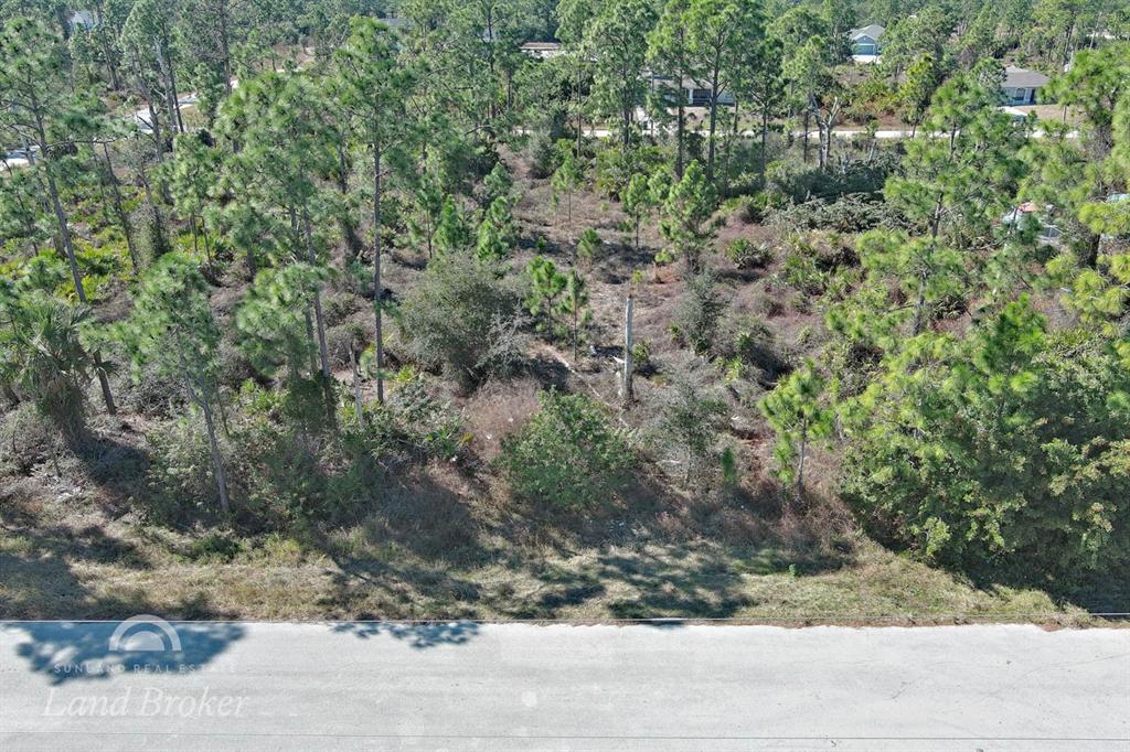 An aerial view shows a vacant, wooded lot bordering a paved road — 1053 FAYETTE AVENUE, LEHIGH ACRES, FL