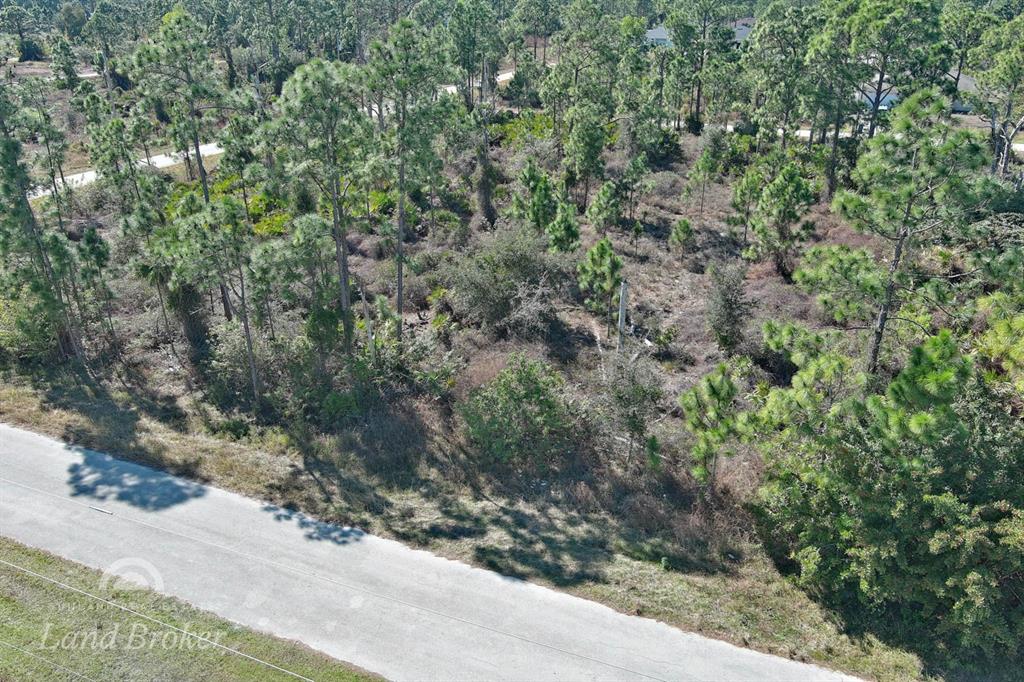 An aerial view shows a wooded, undeveloped plot of land adjacent to a paved road — 1053 FAYETTE AVENUE, LEHIGH ACRES, FL