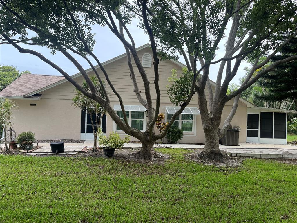 The exterior of a beige house features large trees, a patio, and a screened enclosure — 2387 BENTLEY DRIVE, PALM HARBOR, FL