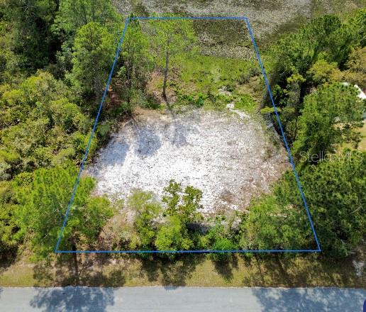 VIOLA AVENUE, EUSTIS, FL — photo 2 of 10