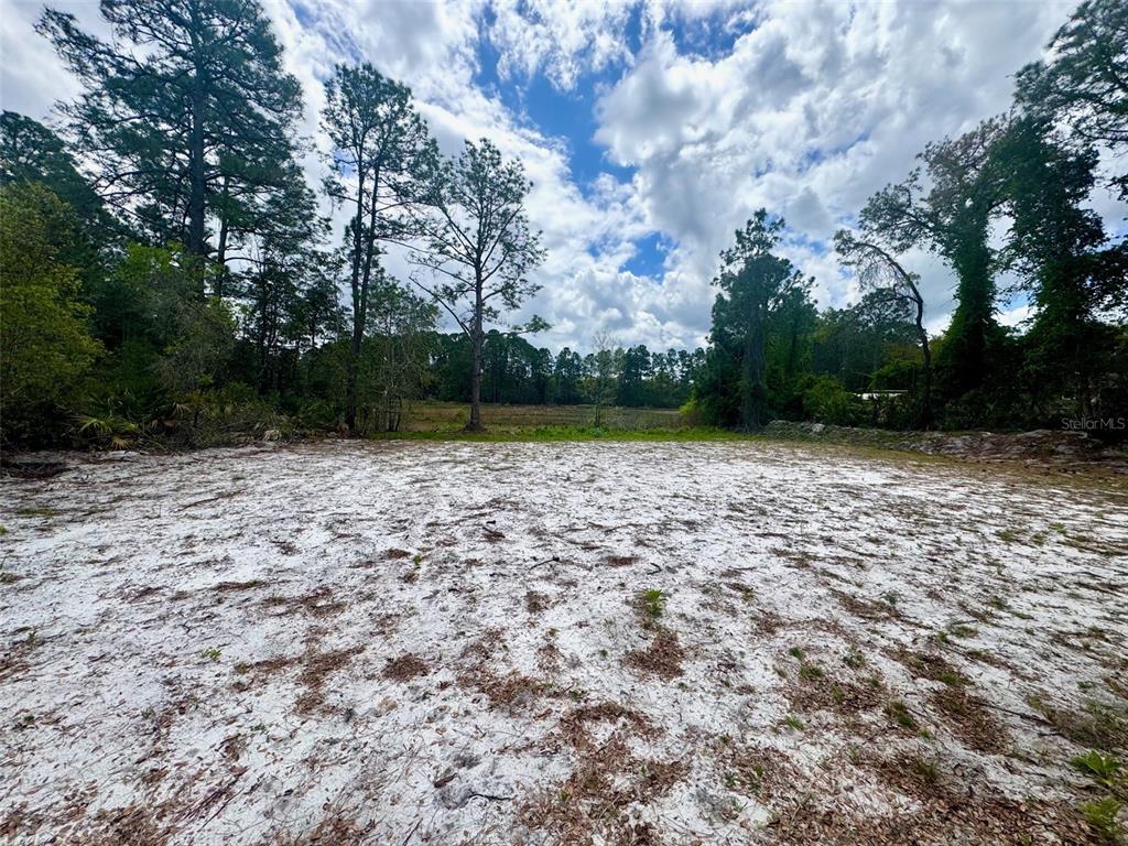 VIOLA AVENUE, EUSTIS, FL — photo 4 of 10