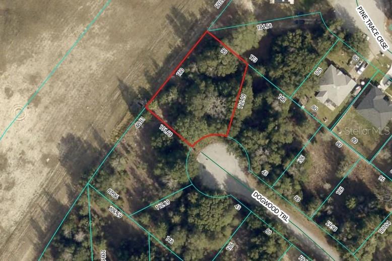 This is an aerial map showing a vacant lot outlined in red on a cul-de-sac — DOGWOOD TRAIL, OCALA, FL