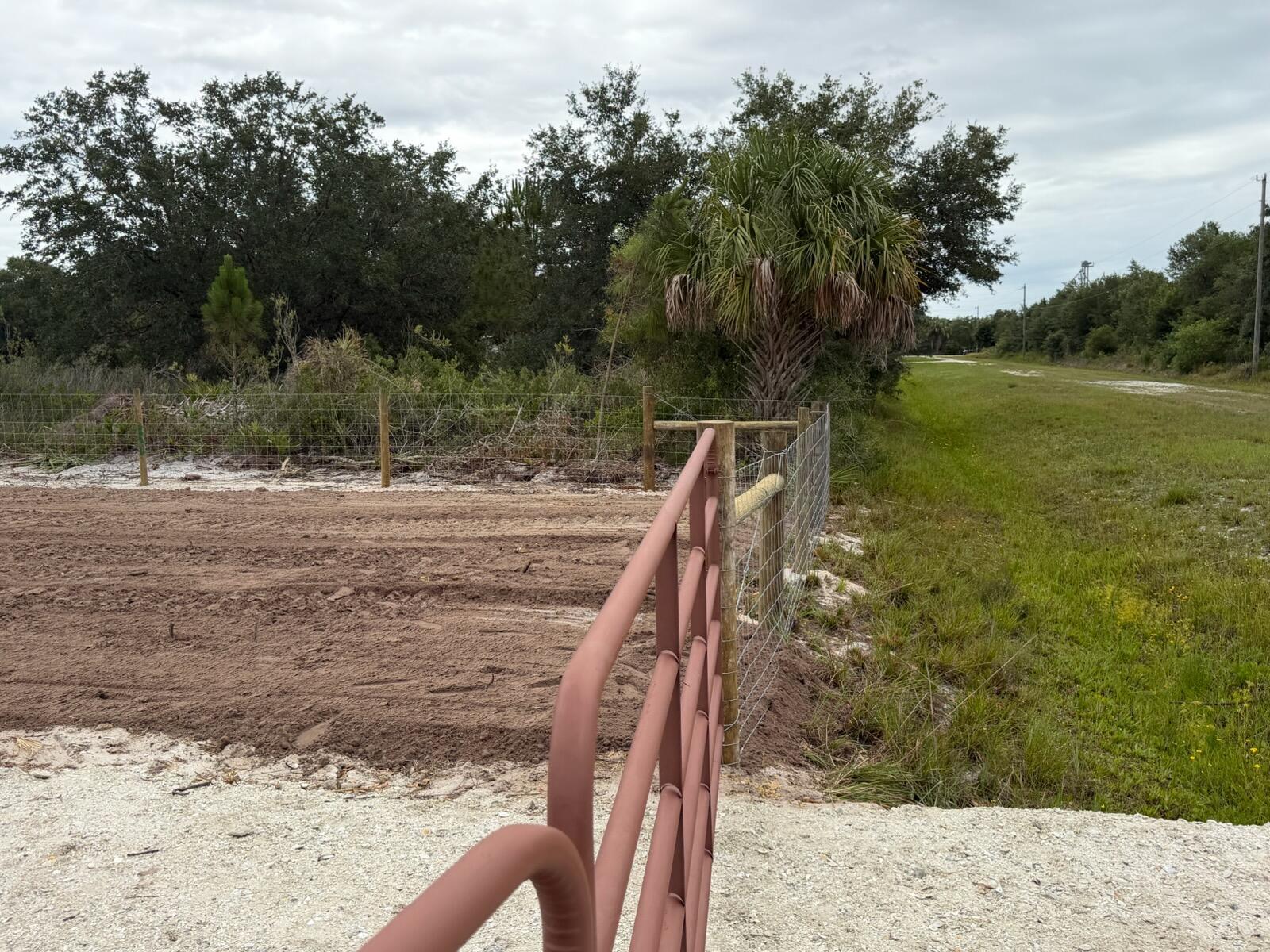 A metal gate opens to a fenced dirt lot bordered by trees and grassy fields — 14667 NW 310th Street, Okeechobee FL 34972, OKEECHOBEE, FL