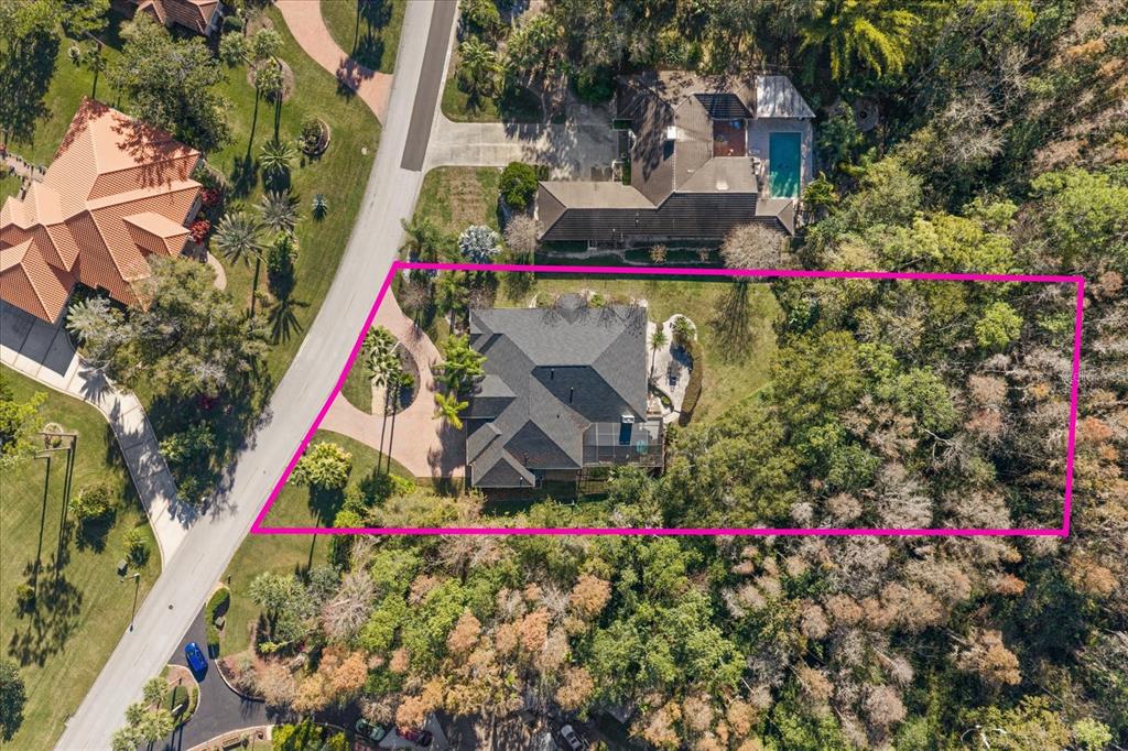 5243 FOXHUNT DRIVE, WESLEY CHAPEL, FL — photo 3 of 30