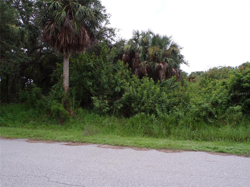 A paved road runs in front of a dense, overgrown lot with several palm trees — 26403 BROOKS ROAD, PUNTA GORDA, FL