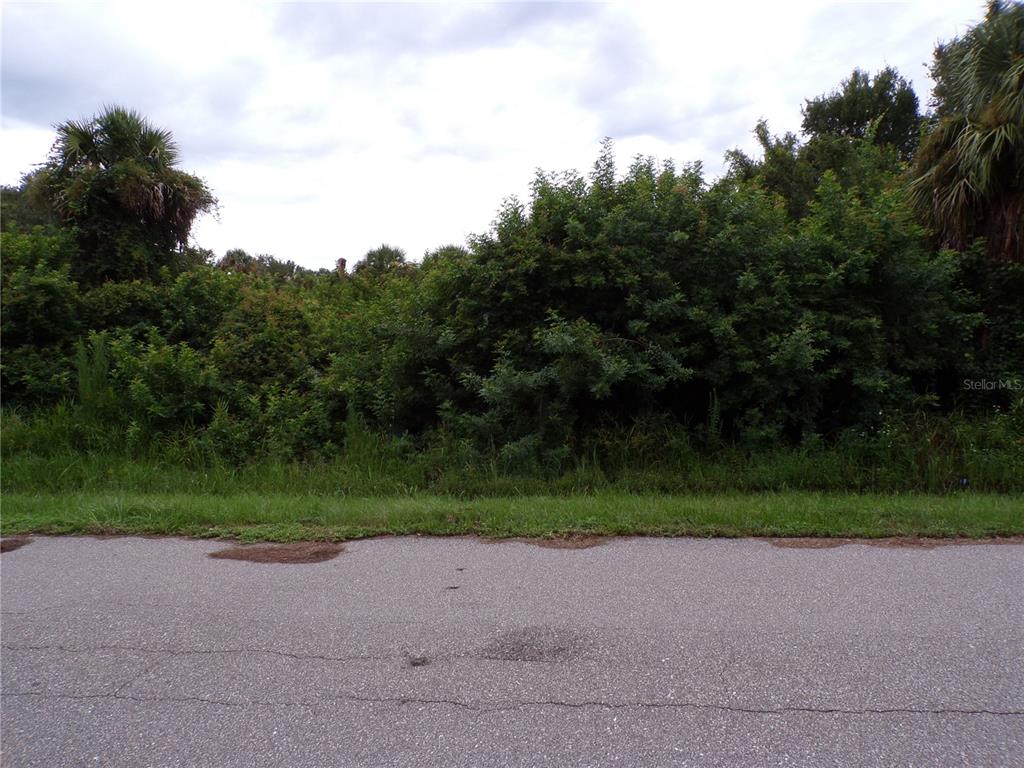 A paved road runs in front of a dense, overgrown wooded lot — 26403 BROOKS ROAD, PUNTA GORDA, FL