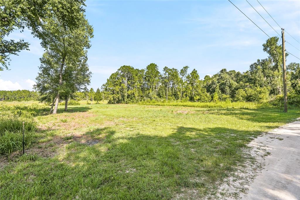 A grassy, undeveloped lot features scattered trees and a dirt road along the right side — 100 BERRYHILL DRIVE, WEBSTER, FL