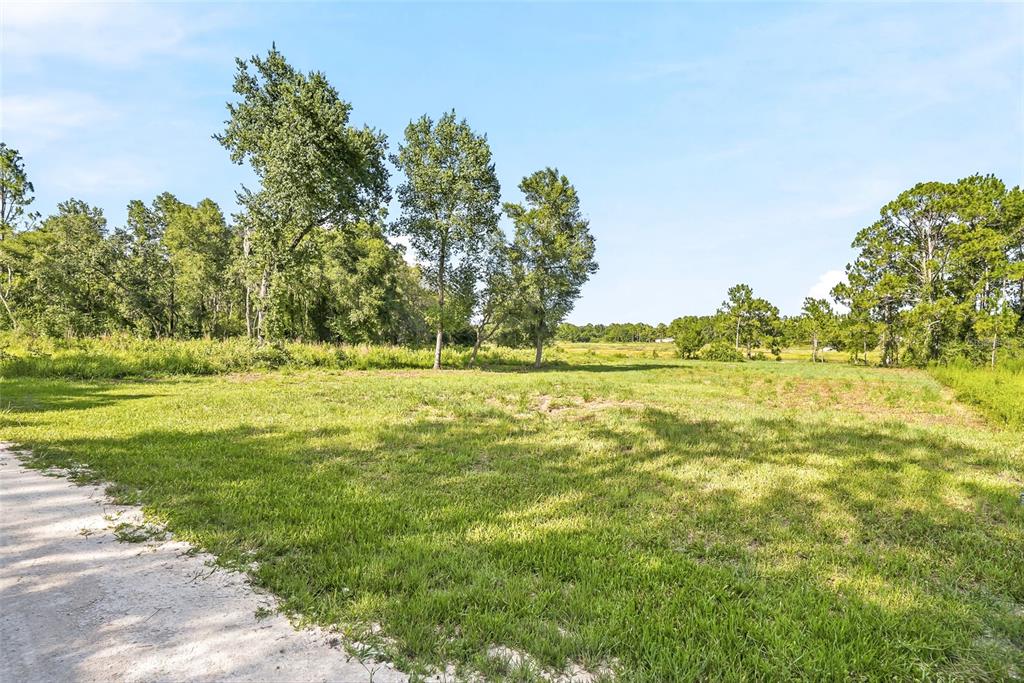 A grassy, open lot features a dirt path in the foreground and surrounding trees — 100 BERRYHILL DRIVE, WEBSTER, FL