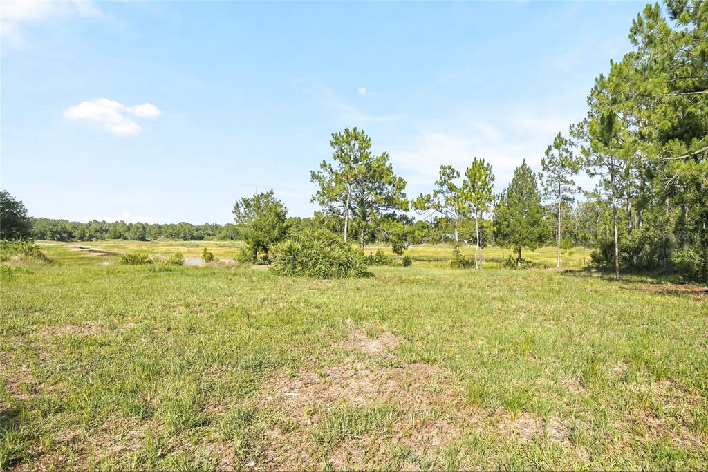 A grassy, open field leads toward a line of trees and a marshy area — 100 BERRYHILL DRIVE, WEBSTER, FL