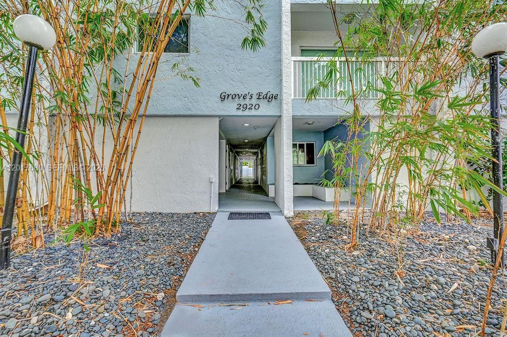 A walkway leads to the entrance of a building named Grove's Edge with bamboo landscaping — 2920 SW 28th Ter # 207, Miami FL 33133, MIAMI, FL