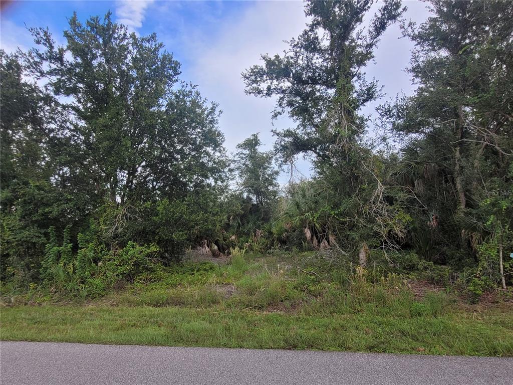 A wooded, undeveloped residential lot is viewed from the edge of a paved road — 9653 PRESIDENT CIRCLE, PORT CHARLOTTE, FL