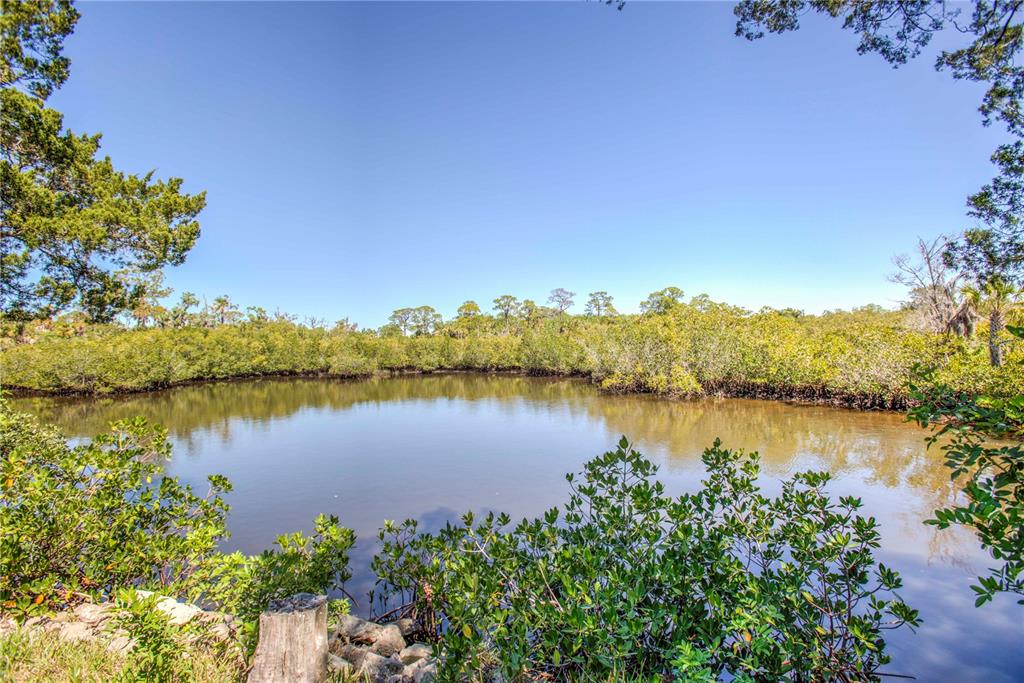 A calm pond is surrounded by dense green mangroves under a clear blue sky — 5274 MILLER BAYOU DRIVE, PORT RICHEY, FL