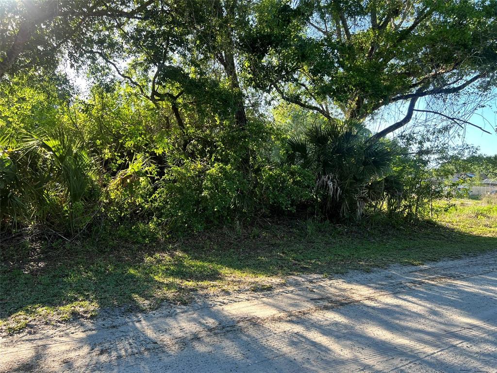 A dirt road runs alongside a densely wooded lot with various trees and palm plants — 8965 100TH AVENUE, VERO BEACH, FL