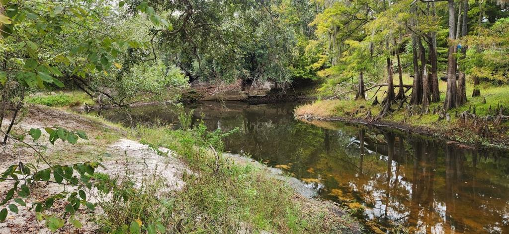 A scenic view of a calm, dark-water creek surrounded by lush trees and sandy banks — 0012 MARCHMONT CIRCLE, DADE CITY, FL