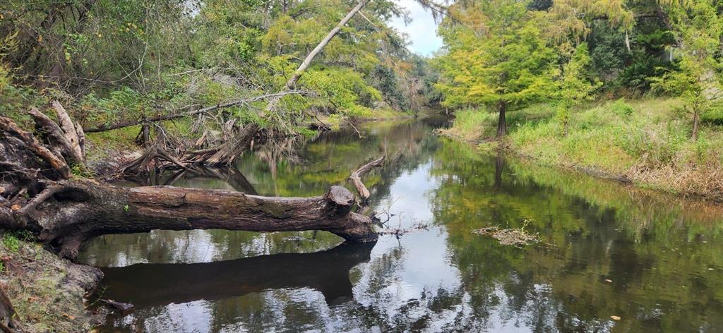A fallen tree trunk extends into a calm, narrow river surrounded by lush green trees — 0012 MARCHMONT CIRCLE, DADE CITY, FL