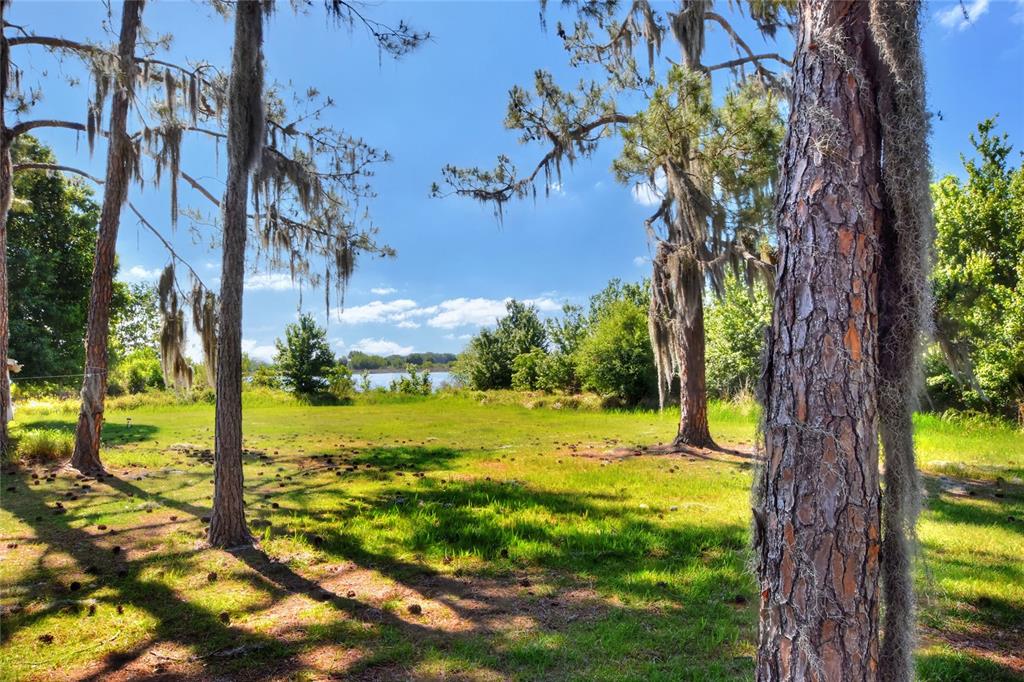 A grassy yard with pine trees draped in Spanish moss overlooks a distant lake — 0 LAKE BUFFUM ROAD W, FORT MEADE, FL