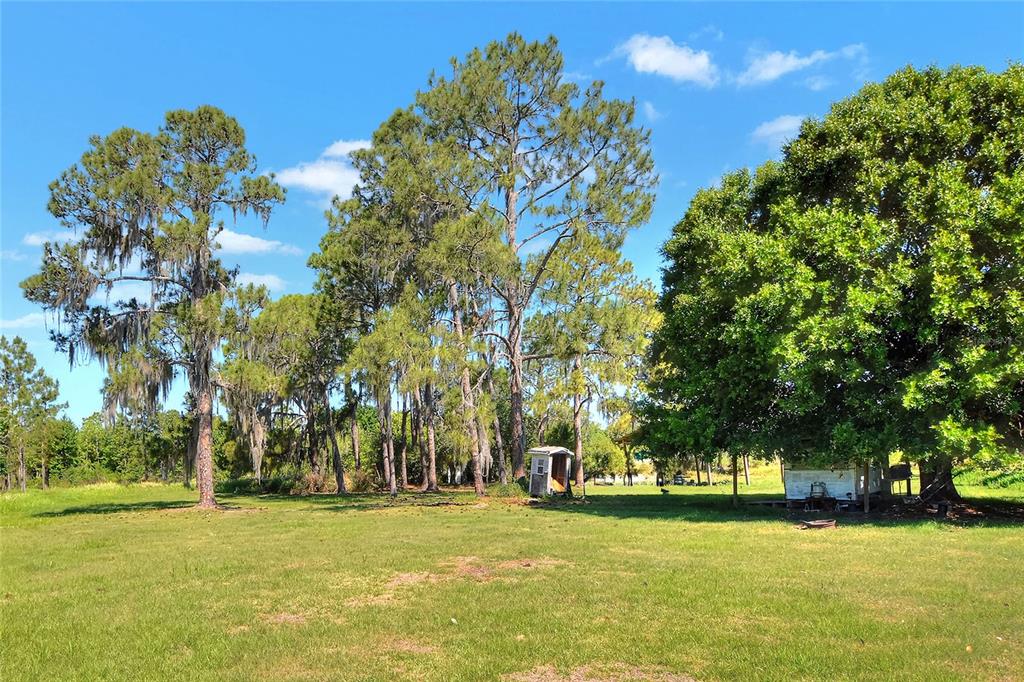 A grassy field features tall pine trees, a small shed, and a trailer under trees — 0 LAKE BUFFUM ROAD W, FORT MEADE, FL